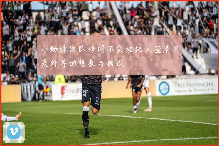 小蜘蛛离队传闻不实经纪人澄清只是外界的想象与假设