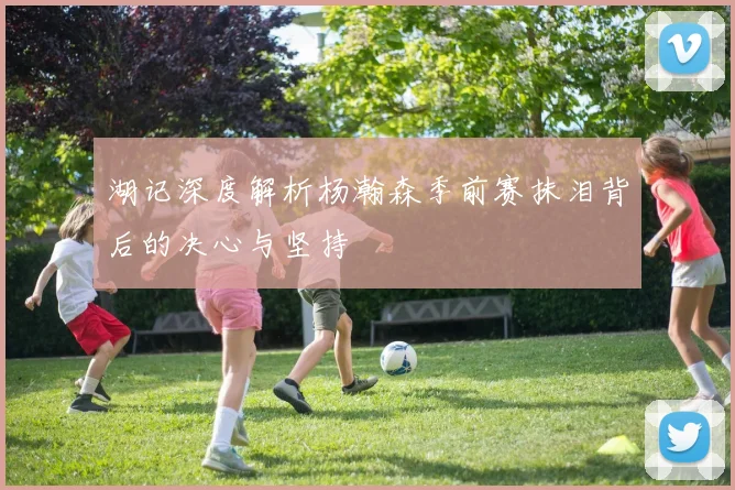 湖记深度解析杨瀚森季前赛抹泪背后的决心与坚持